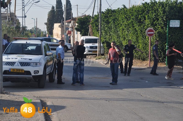 ta3n ludj31 (22).JPG